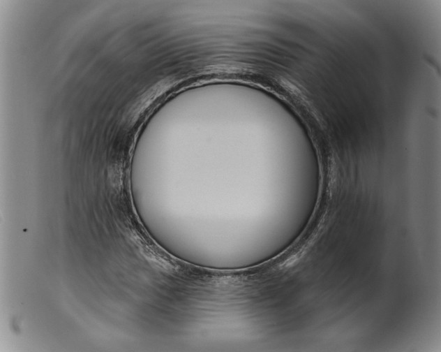 X0000099441017200805231712