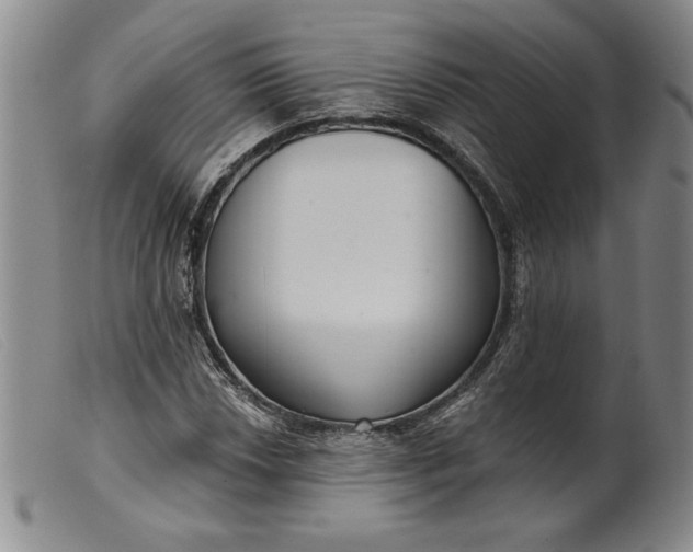 X0000099441018200805231712