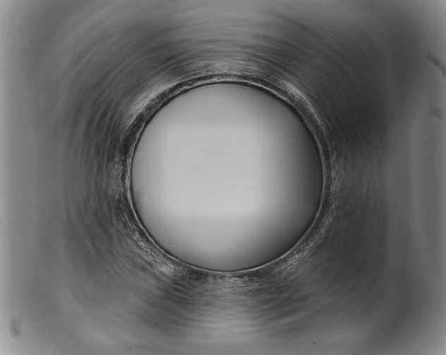 X0000099441019200805231712