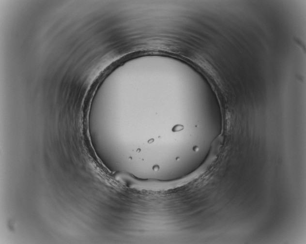 X0000099441020200805231712