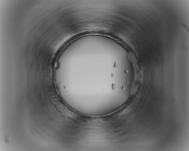 X0000099441021200805231712