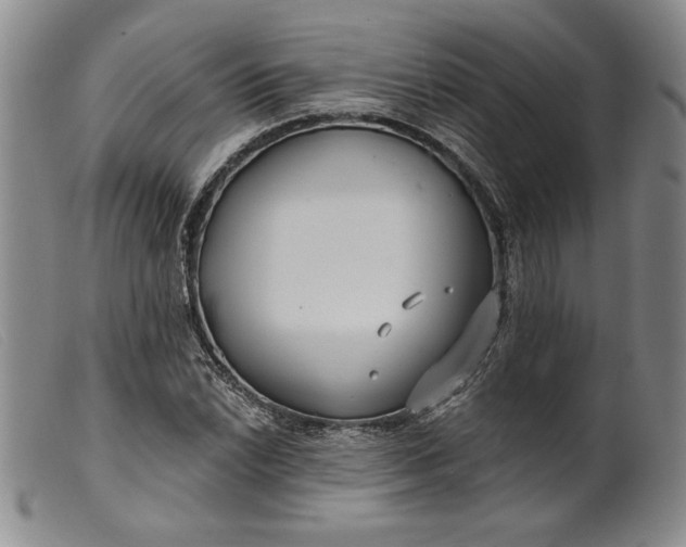X0000099441022200805231712
