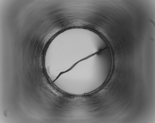 X0000099441026200805231712