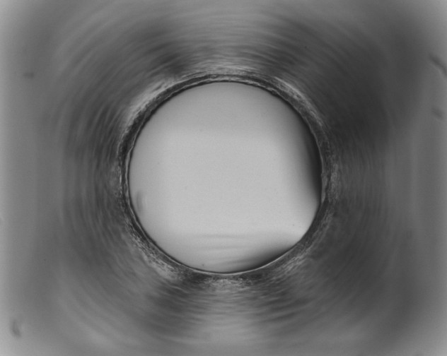 X0000099441027200805231712