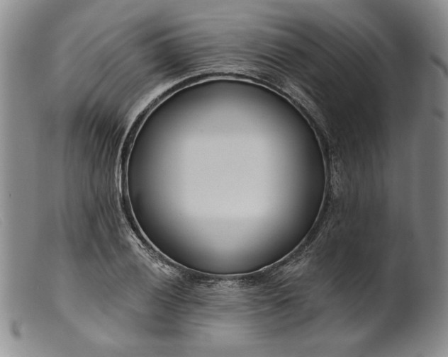 X0000099441028200805231712