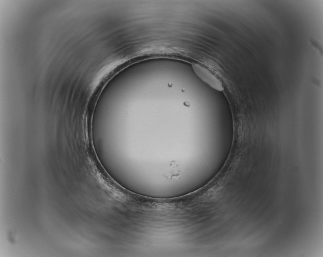 X0000099441030200805231712