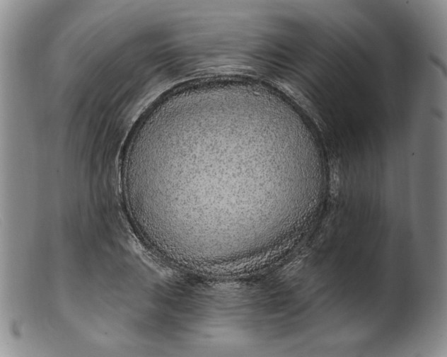X0000099441031200805231712