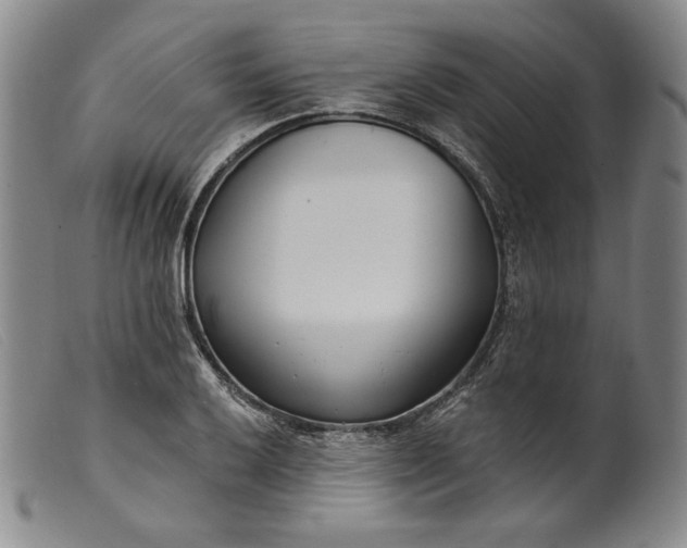 X0000099441032200805231712