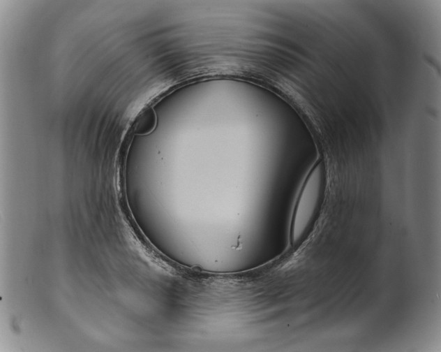 X0000099441034200805231712