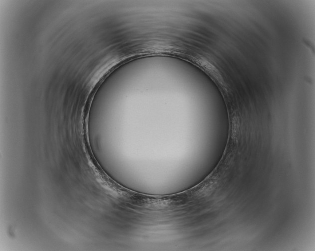 X0000099441039200805231712