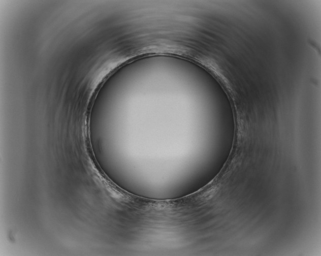 X0000099441040200805231712