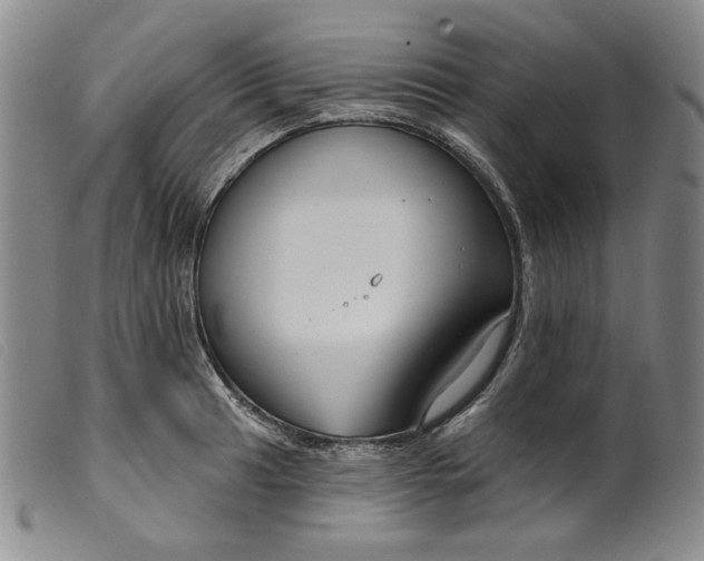 X0000099441041200805231712