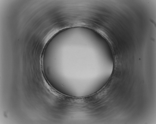 X0000099441047200805231712
