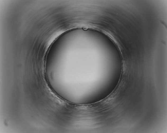 X0000099441048200805231713