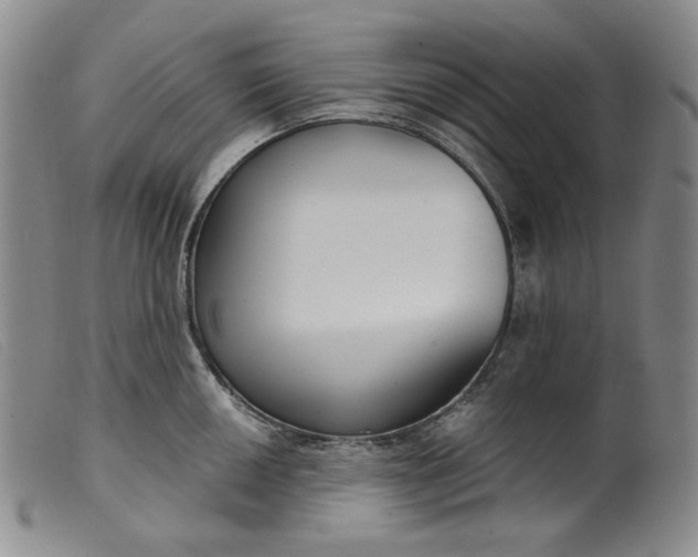 X0000099441050200805231713