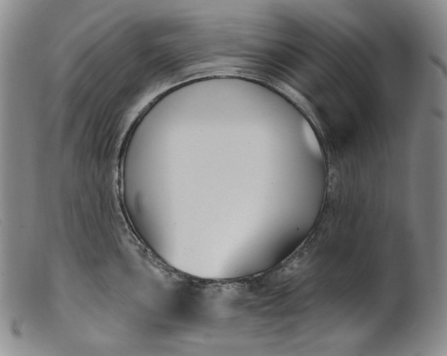 X0000099441051200805231713