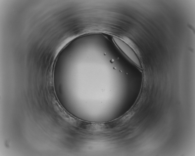 X0000099441052200805231713