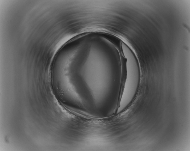 X0000099441053200805231713