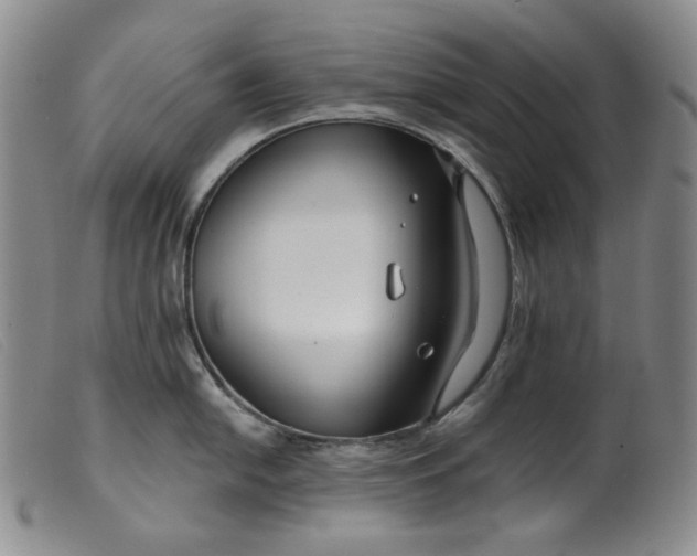 X0000099441054200805231713