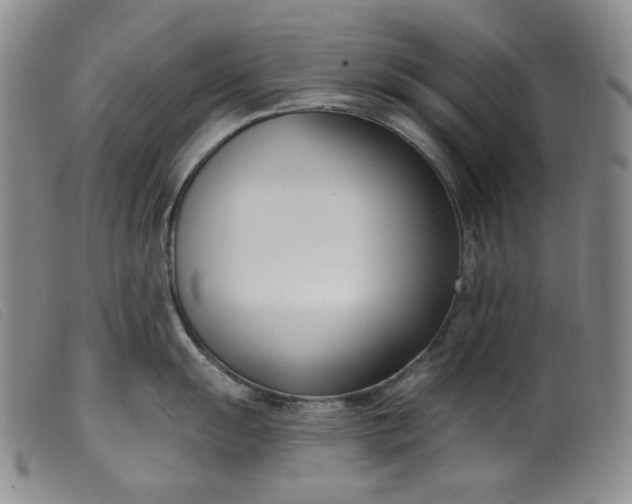 X0000099441055200805231713