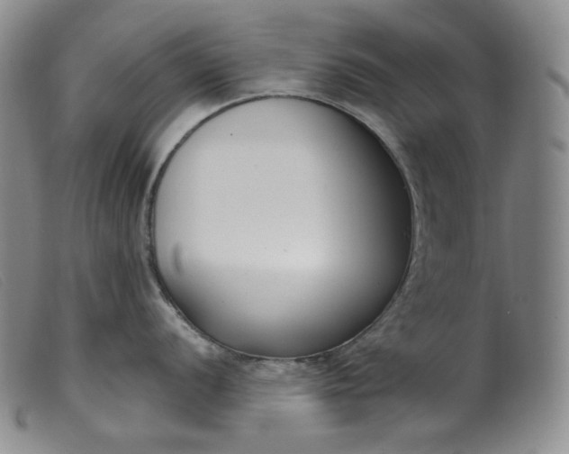 X0000099441056200805231713