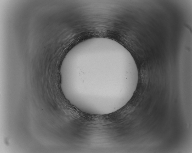 X0000099441057200805231712