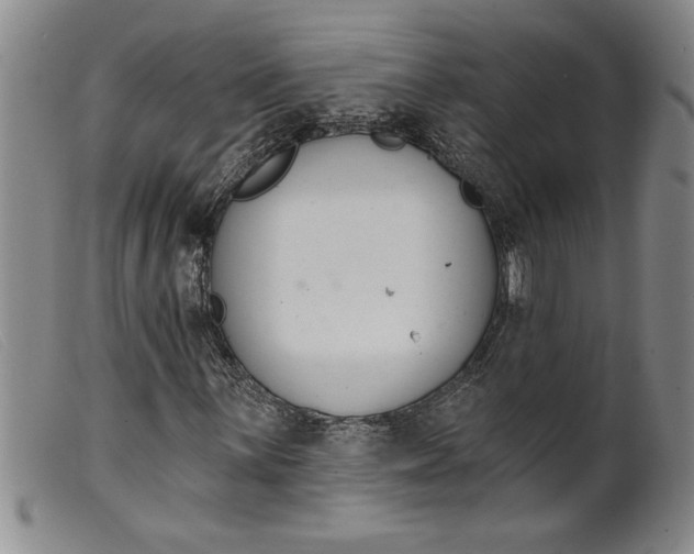 X0000099441059200805231712