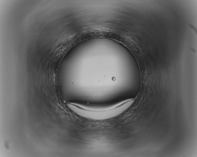 X0000099441061200805231712