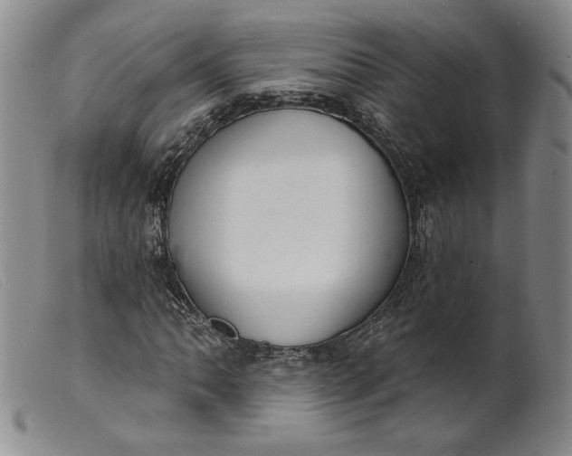 X0000099441062200805231712