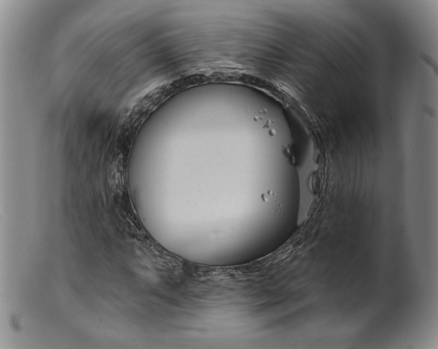 X0000099441063200805231712