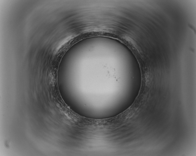 X0000099441064200805231712