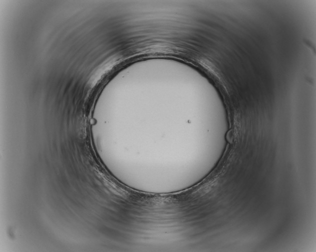 X0000099441067200805231712