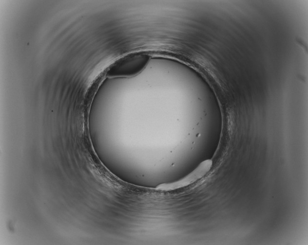 X0000099441069200805231712