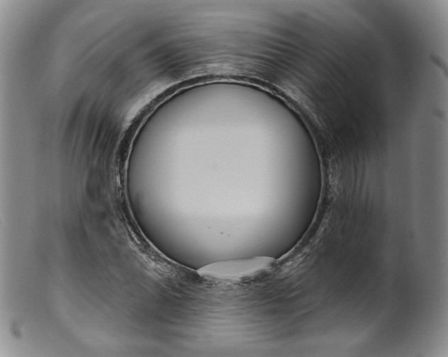 X0000099441070200805231712