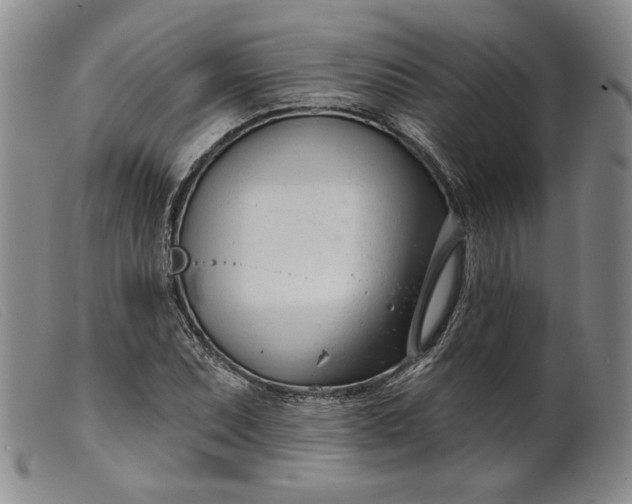 X0000099441071200805231712