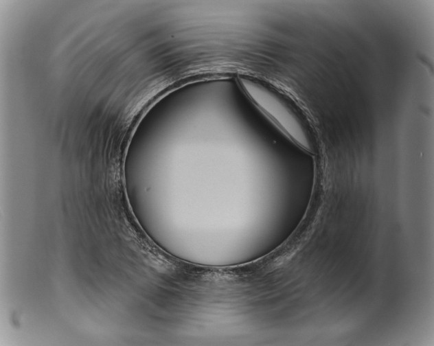 X0000099441073200805231712