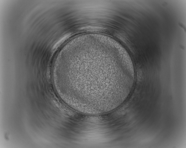 X0000099441074200805231712