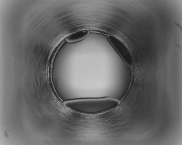 X0000099441076200805231711