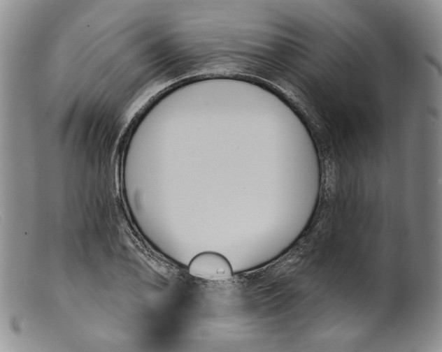 X0000099441078200805231711
