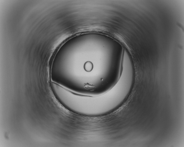 X0000099441079200805231711