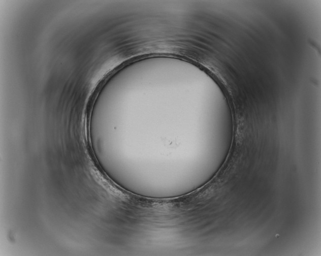 X0000099441080200805231711