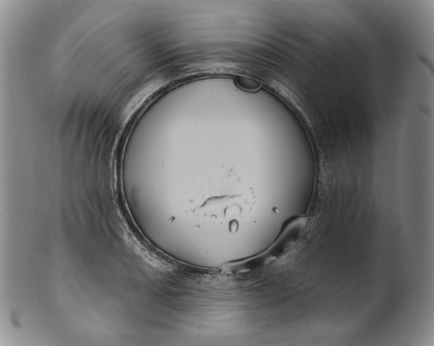 X0000099441082200805231711