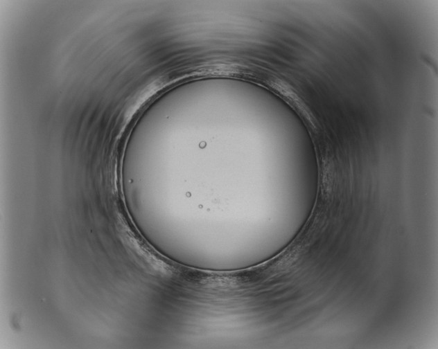 X0000099441083200805231711