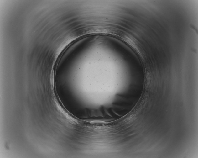 X0000099441084200805231711