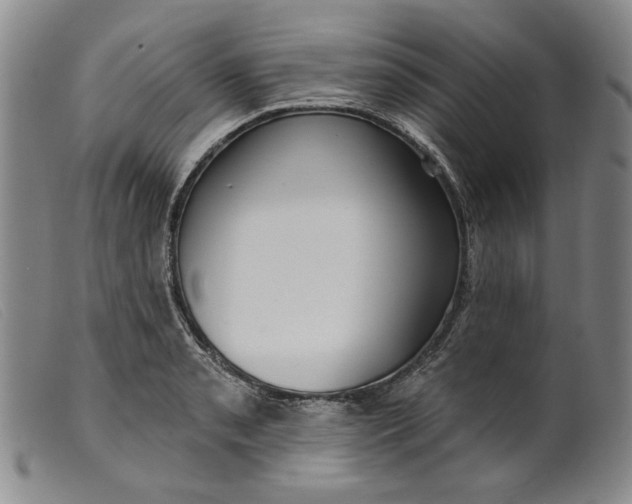 X0000099441085200805231711