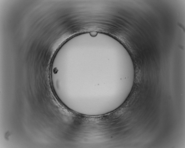X0000099441086200805231711