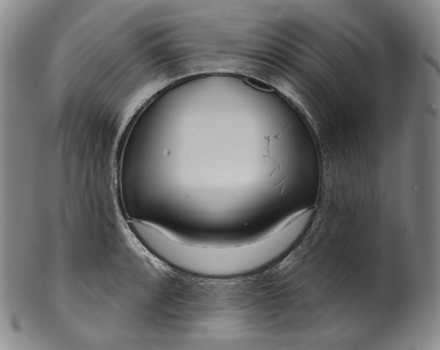 X0000099441088200805231711