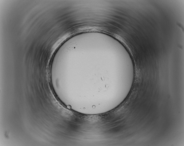 X0000099441090200805231711