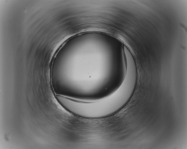 X0000099441092200805231711