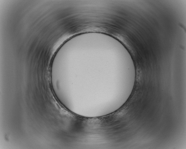 X0000099441094200805231711